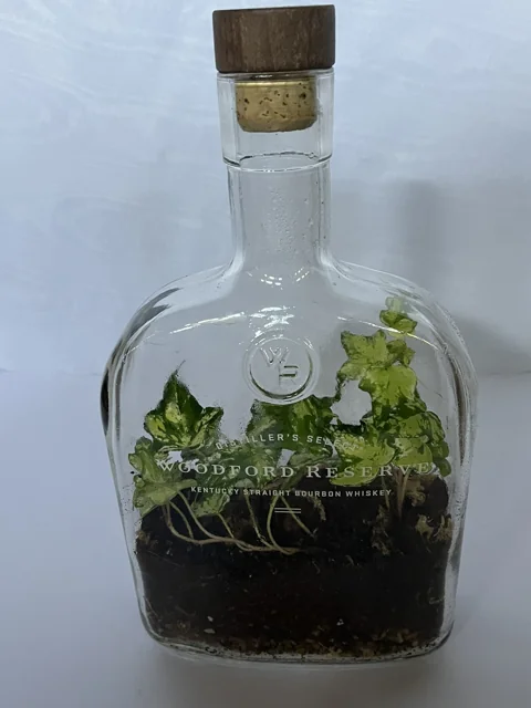 Woodford Reserve Ivy