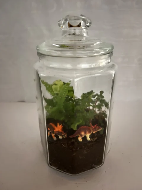 Prehistoric Jungle Terrarium