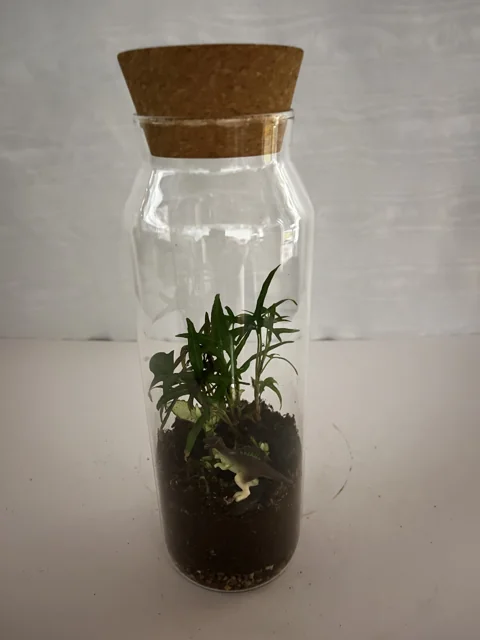 Tall Dinosaur Terrarium