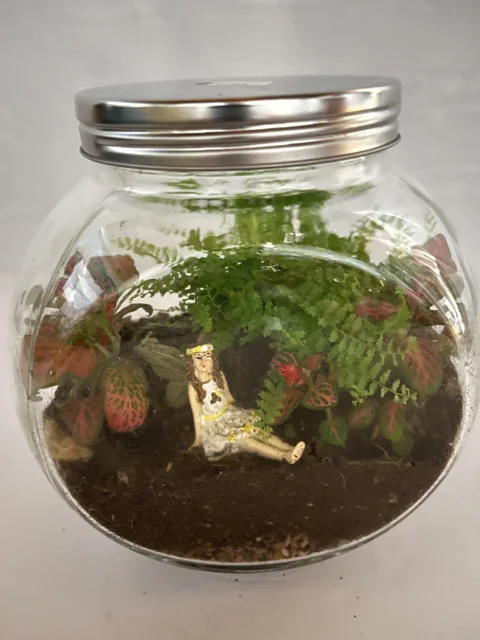 Fairy Forest Terrarium