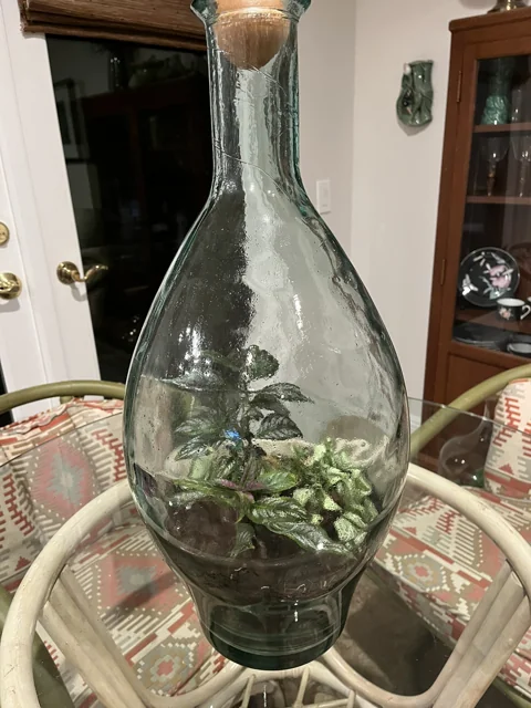 Large Teardrop