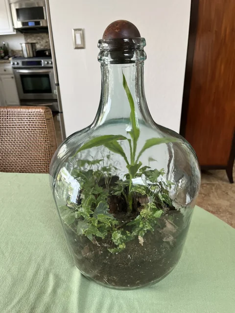 Wine Decanter